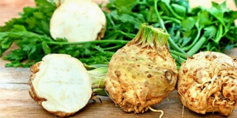 Kada brati i kako čuvati korijen celera